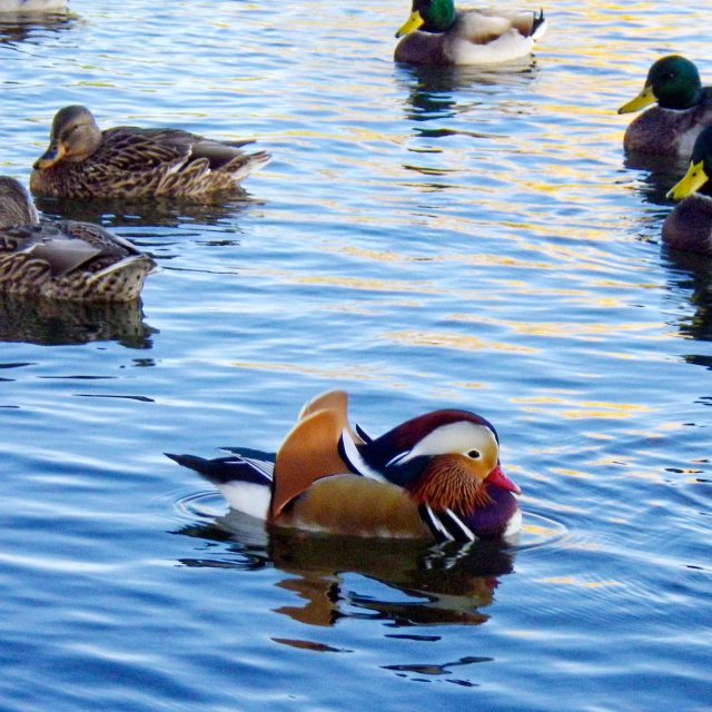 Something unexpected