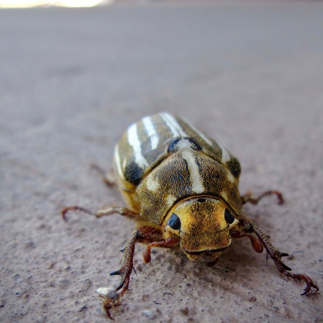 Meeting with the boss