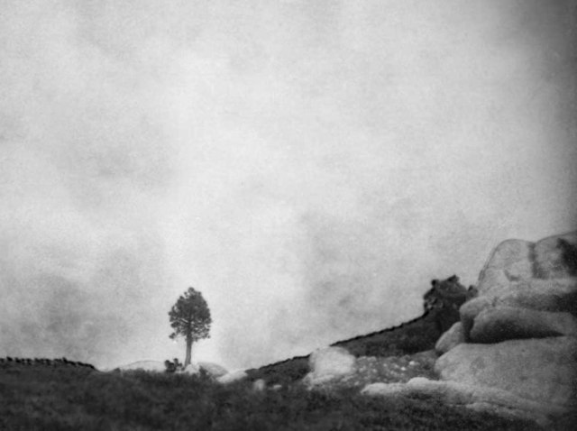 lone_tree_5_lakes_1_bw