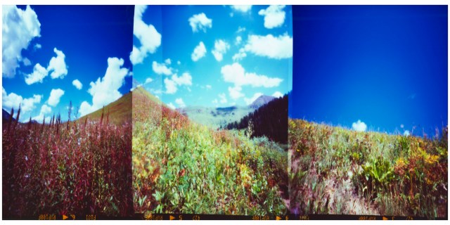 Fall Pinhole Triptych