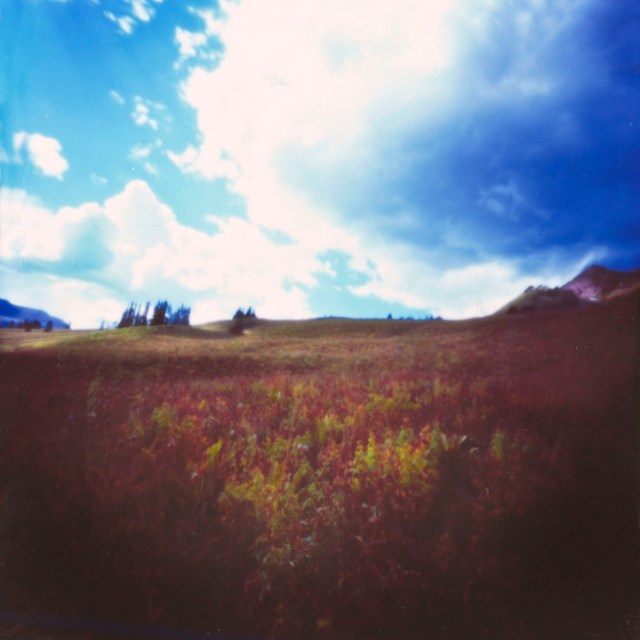 Autumn Pinhole