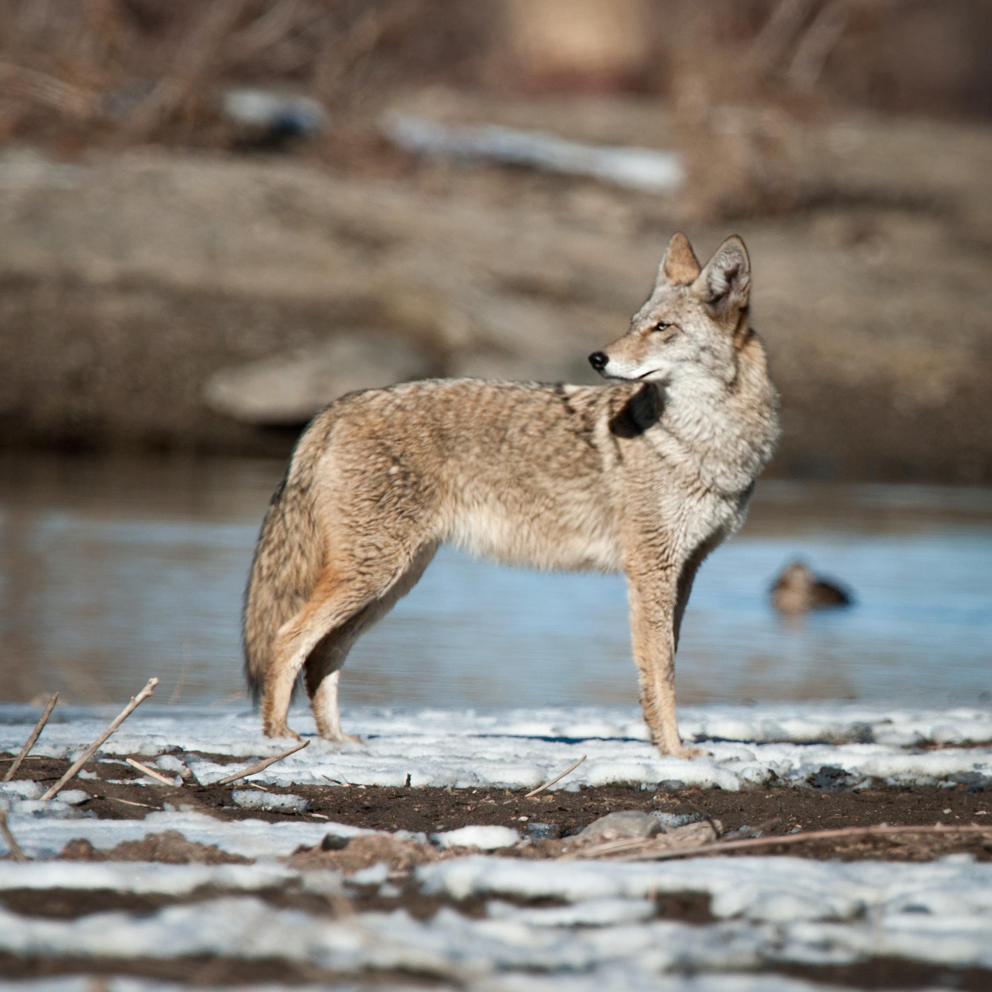 What's one the menu?