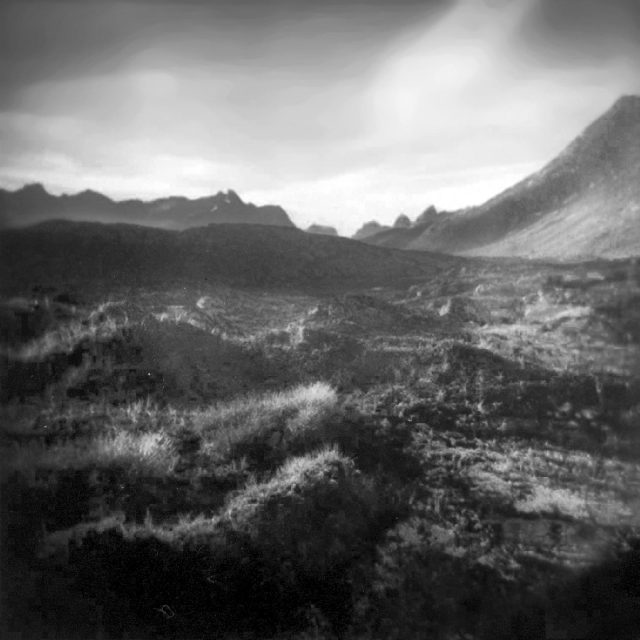 Tussocks, Light and Mountains.