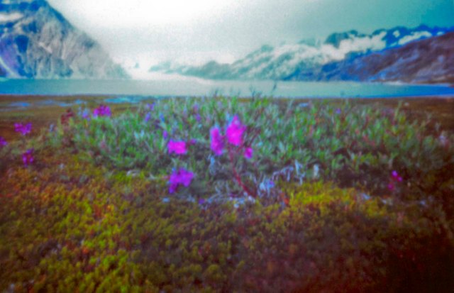 Greenland_pinhole_003