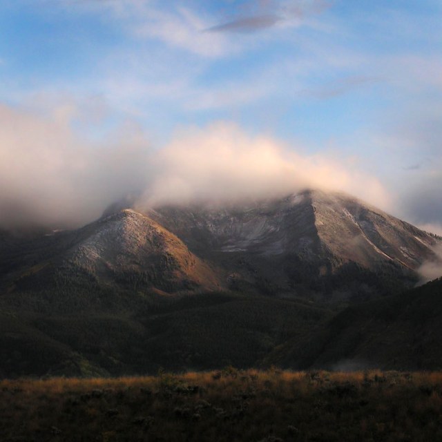 KONICA MINOLTA DIGITAL CAMERA