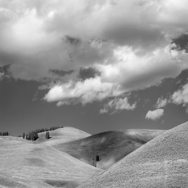 Montana_hills_bw