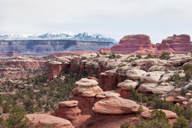 Canyonlands_la_sals