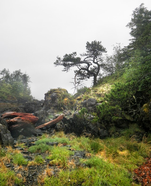 On_a_rainy_morning_1