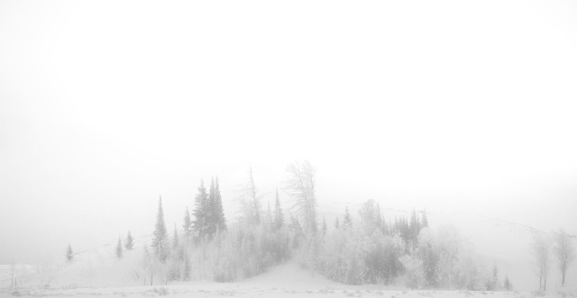 A_cold_fog