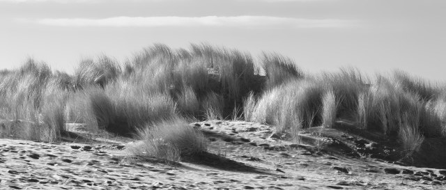 Winter_beach_bw