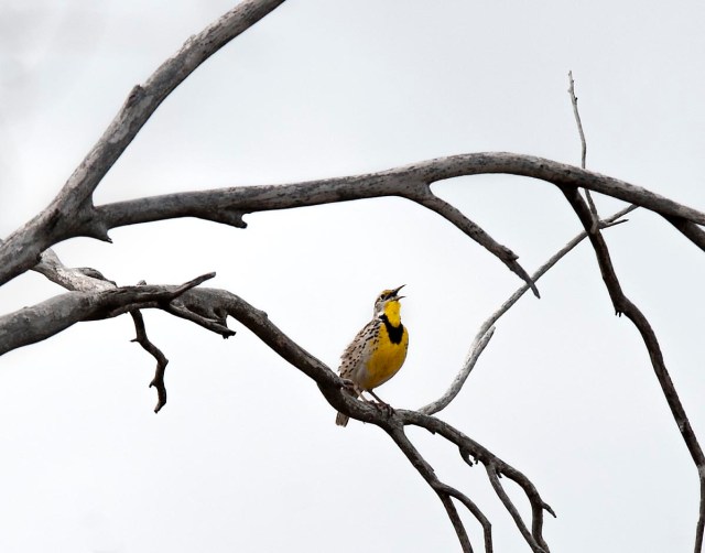 Even_on_a_cloudy_day