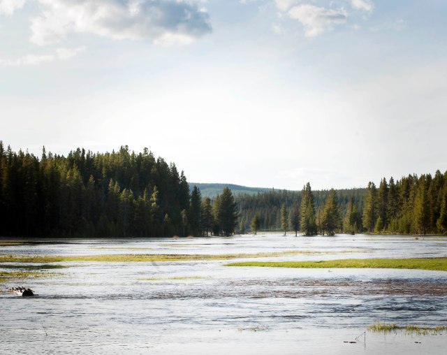 After_the Snow_melts_2