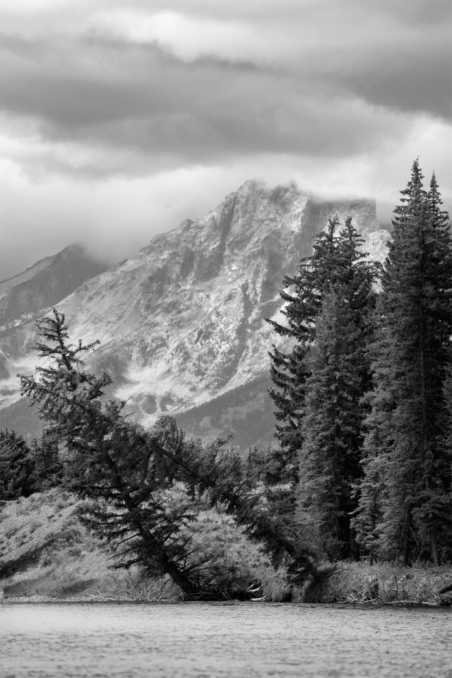 head_in_the_clouds_bw