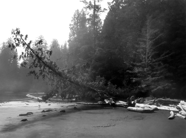 on_a_foggy_morning_bw