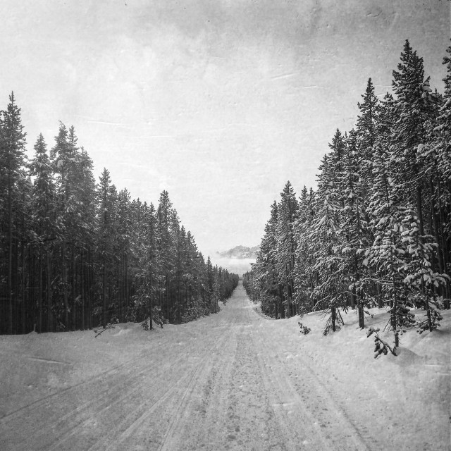 road_less_traveled_1