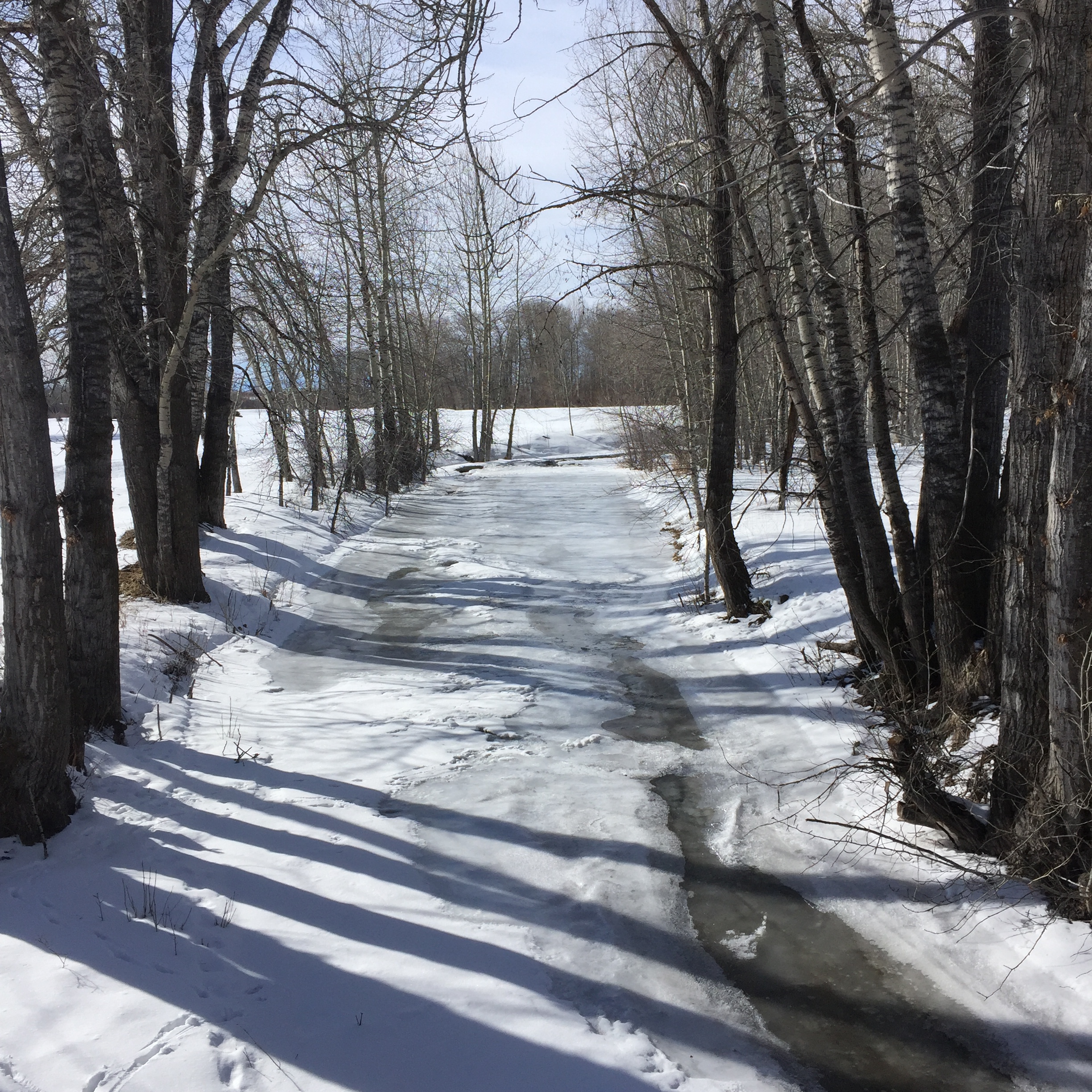 Listening_to_shadows_3