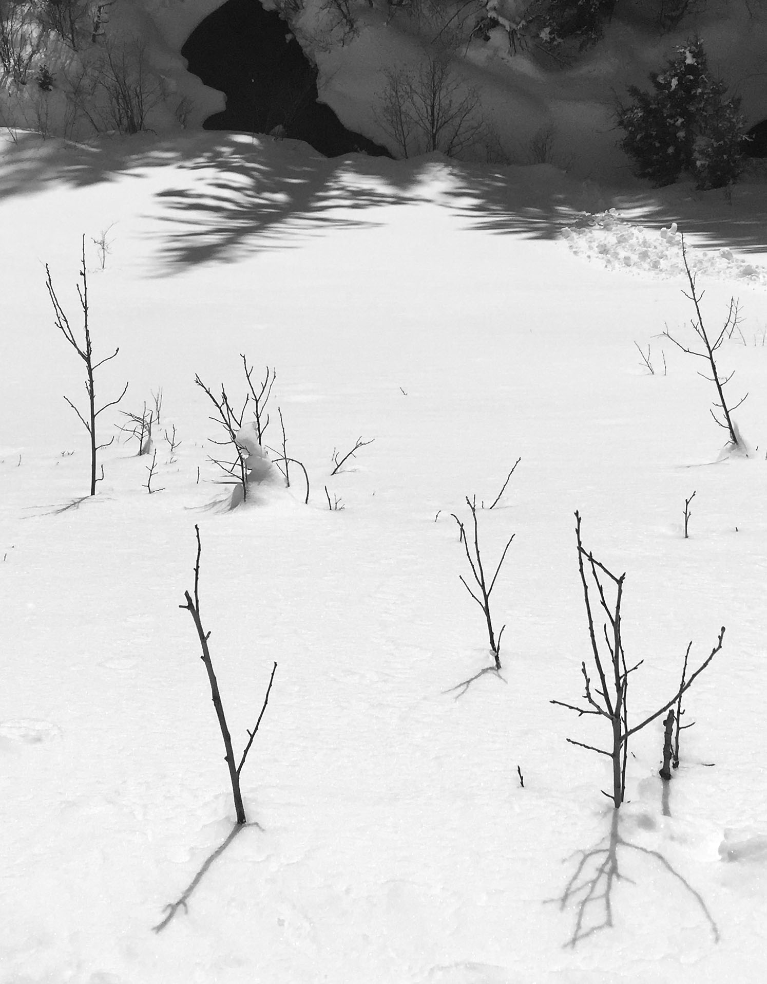 Listening_to_shadows_4