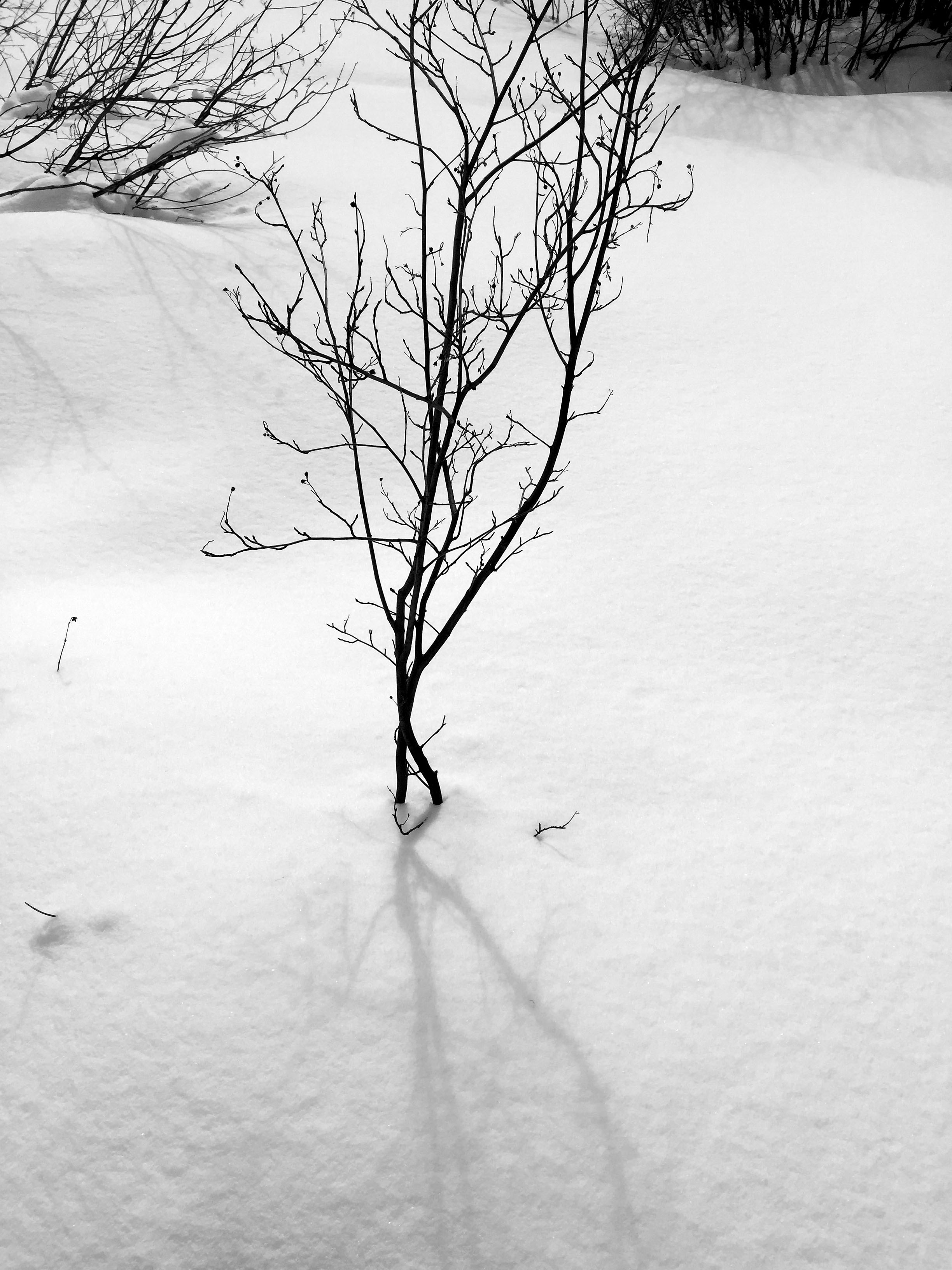 Listening_to_shadows_5