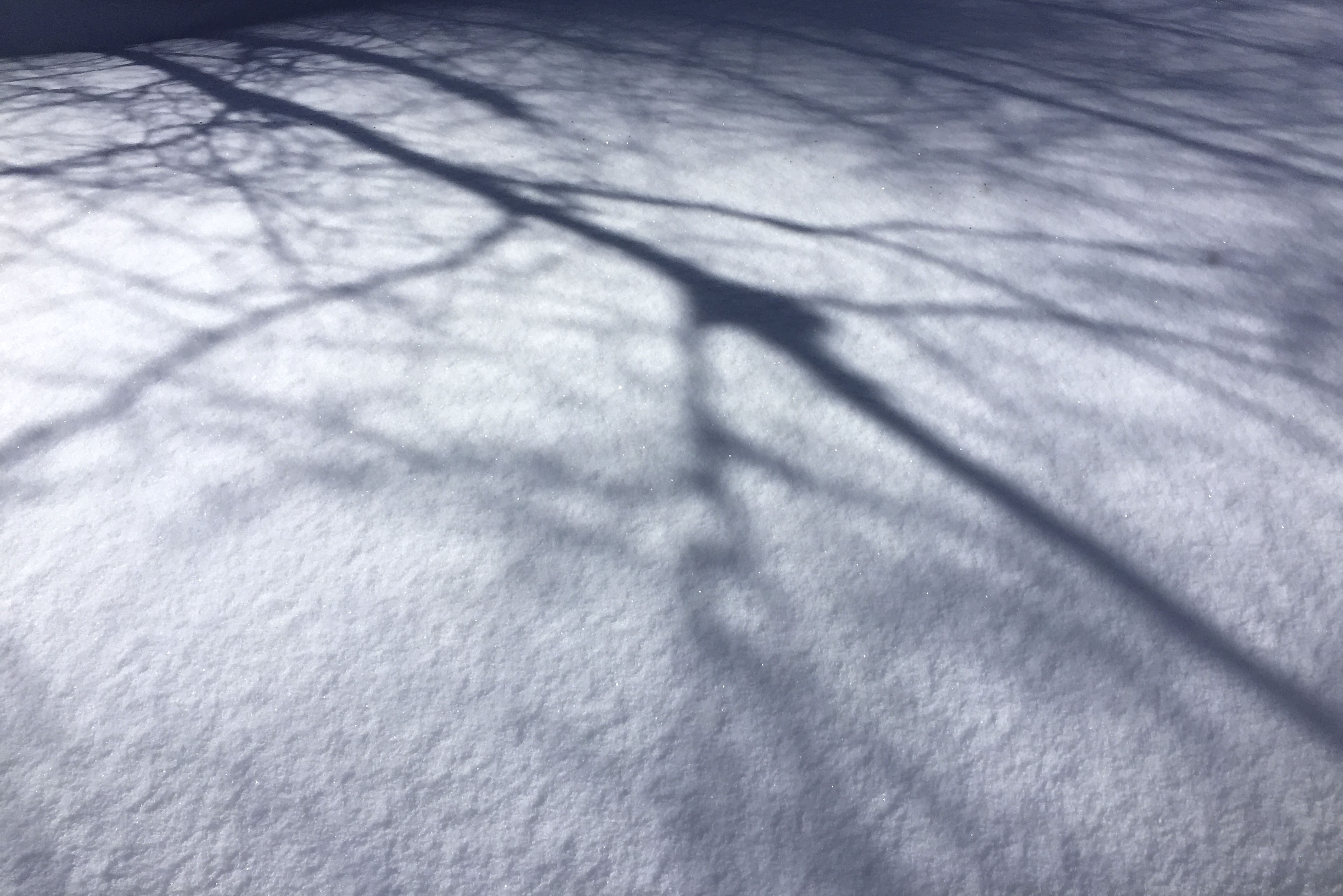 Listening_to_shadows_6