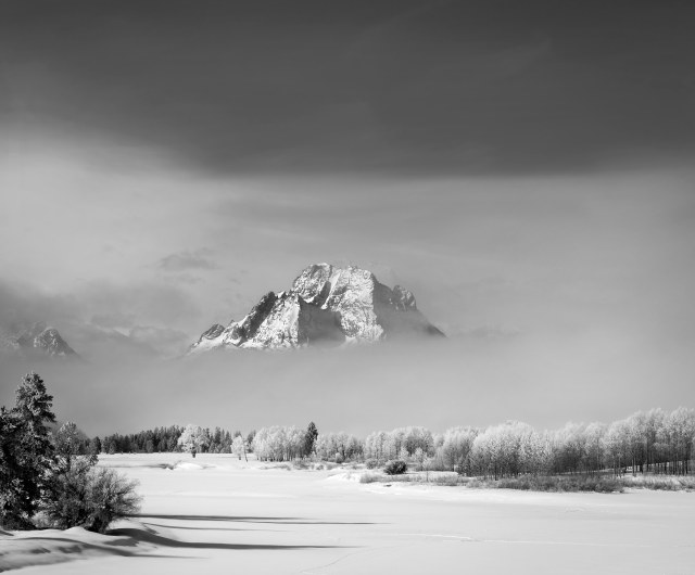 moran_winter_1_bw