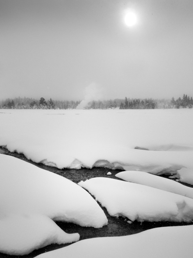 winter_day_bw_377