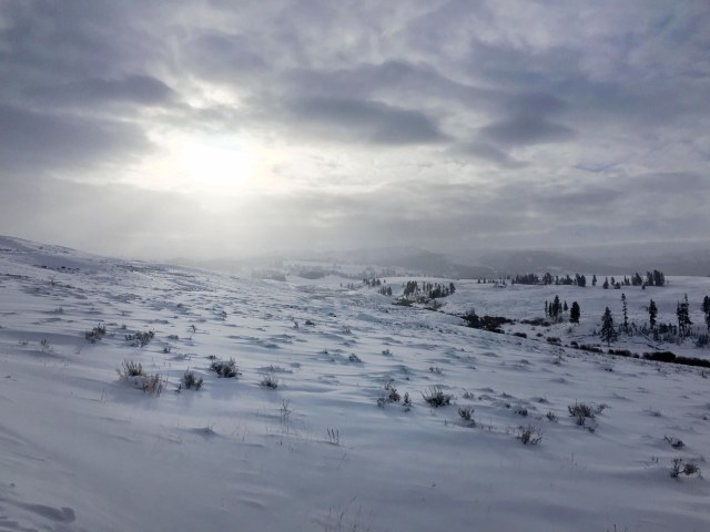 Morning_on_the_blacktail_1