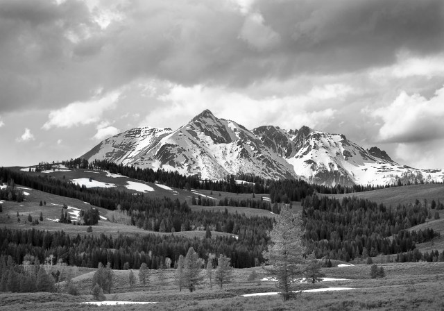 When_spring_comes_1_bw