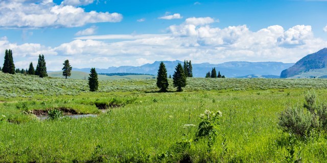 Across_open_spaces_3