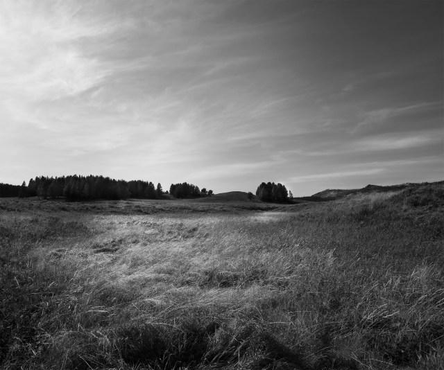 Fall_fields_bw_231