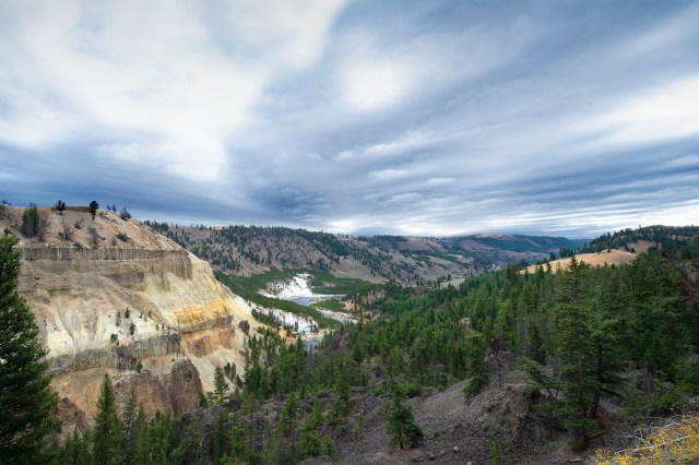 Yellowstones_2345