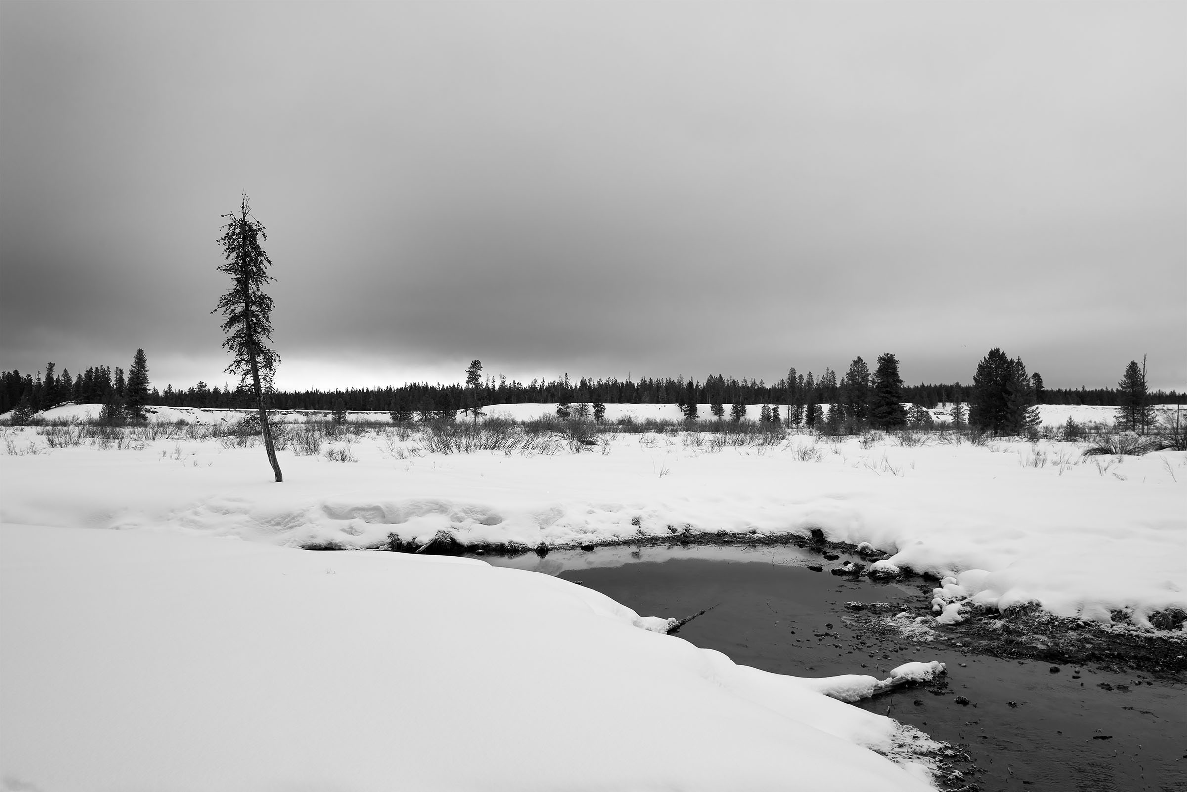 Sounds_0f_silence_6 copy