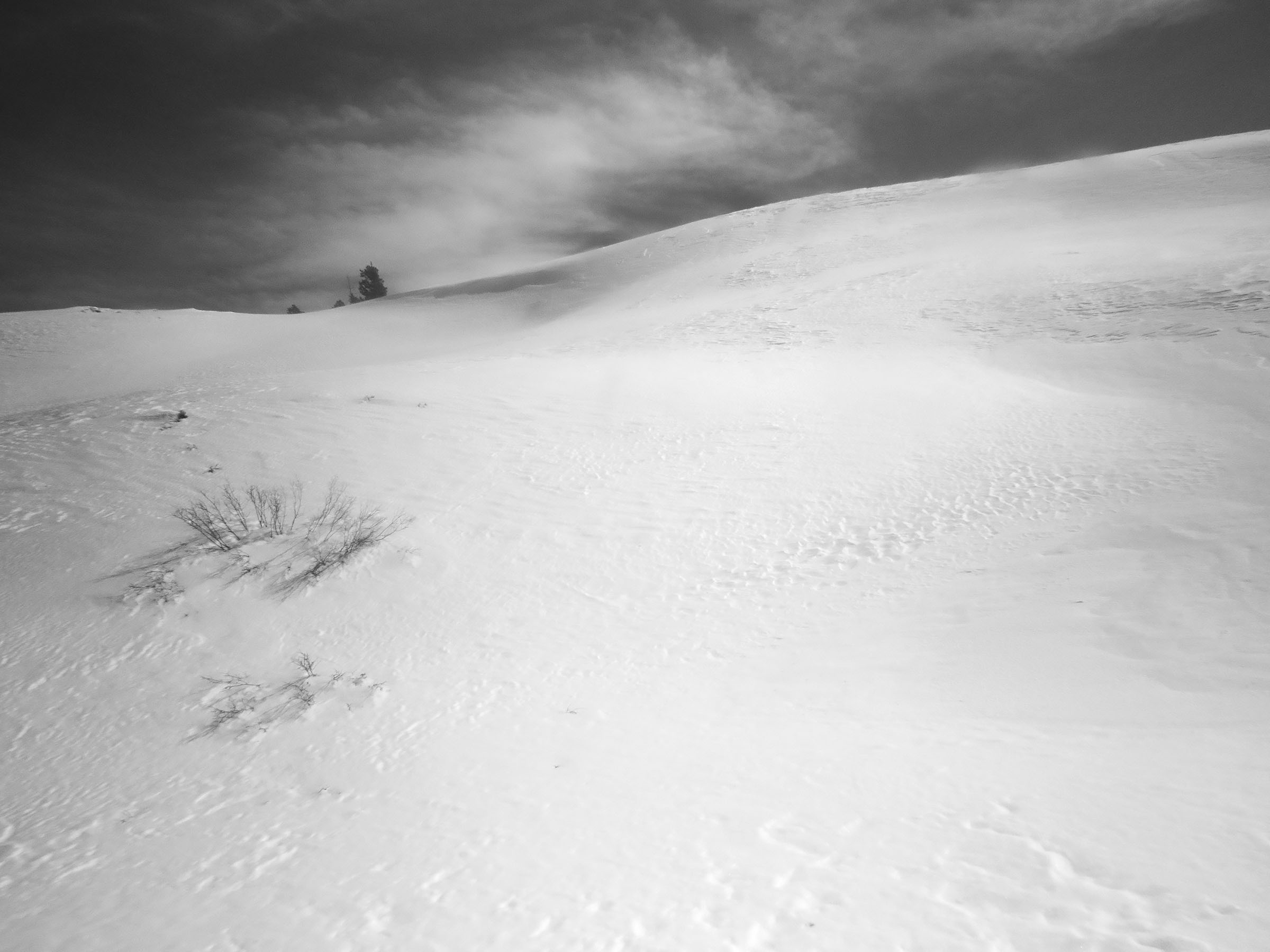 BW_snowscape_9012a