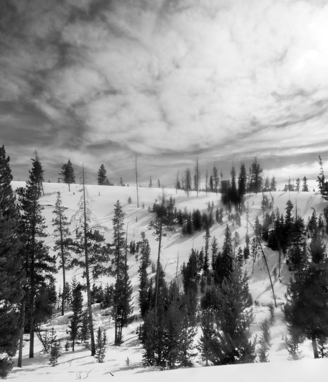 BW_snowscape_c