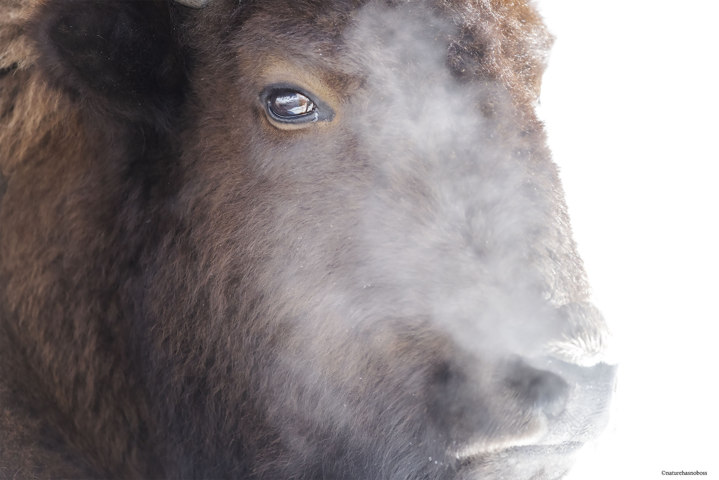 I_can_see_your_breath_1