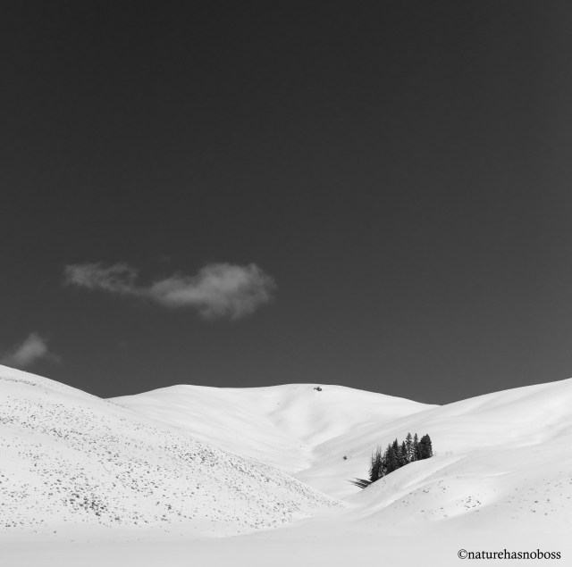 Once_again_3425 copy