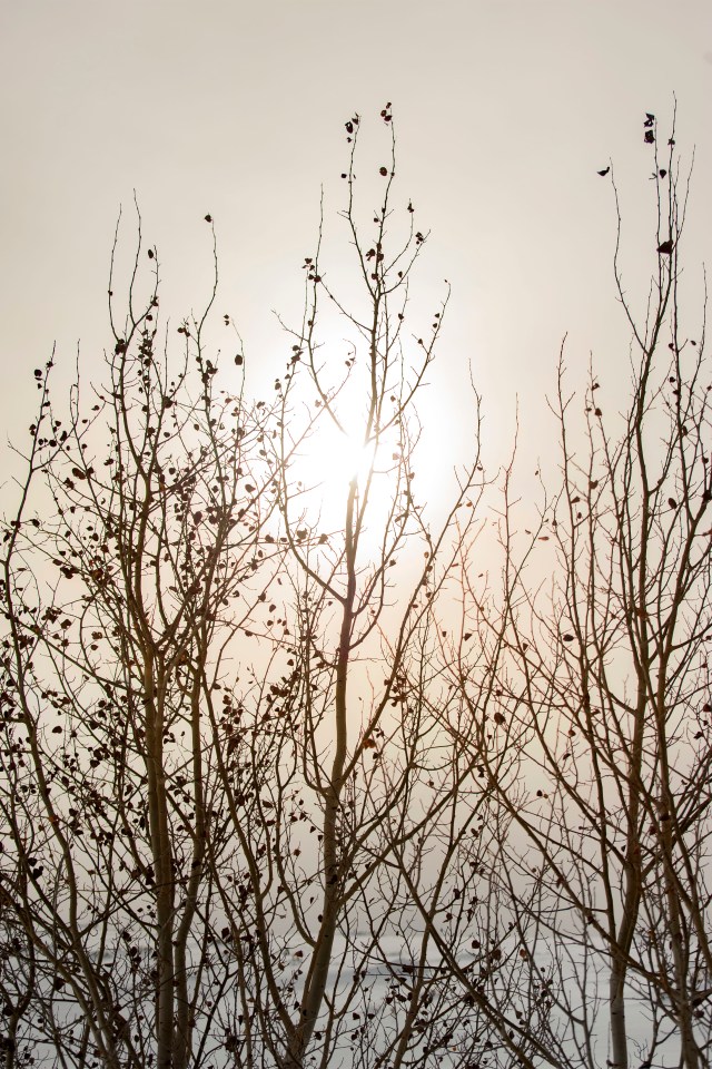 Sun_in_my_eyes_9023415