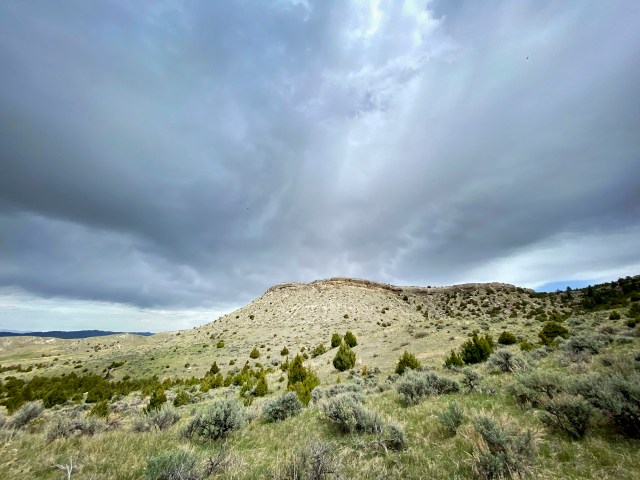 Along_the_trails_01321