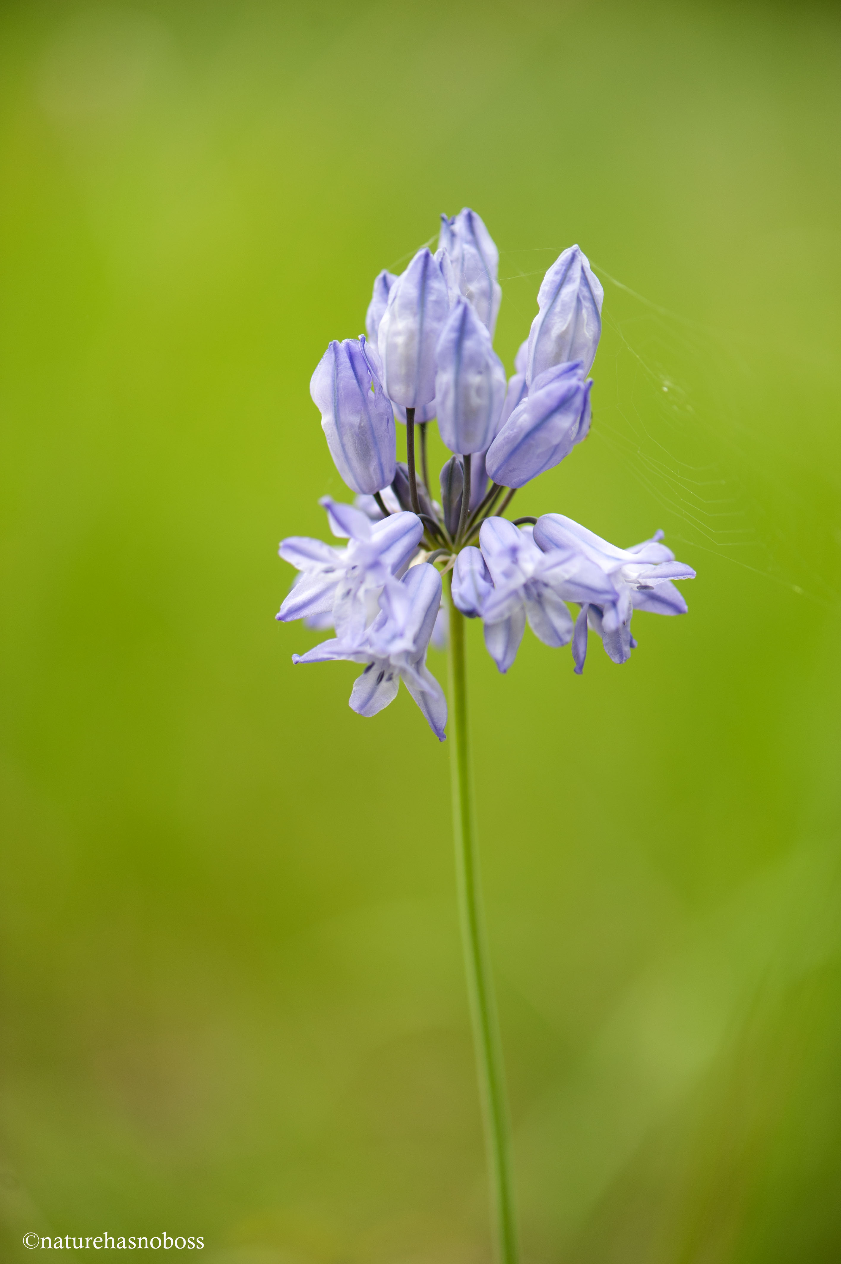 and_sat_down_beside_her_1