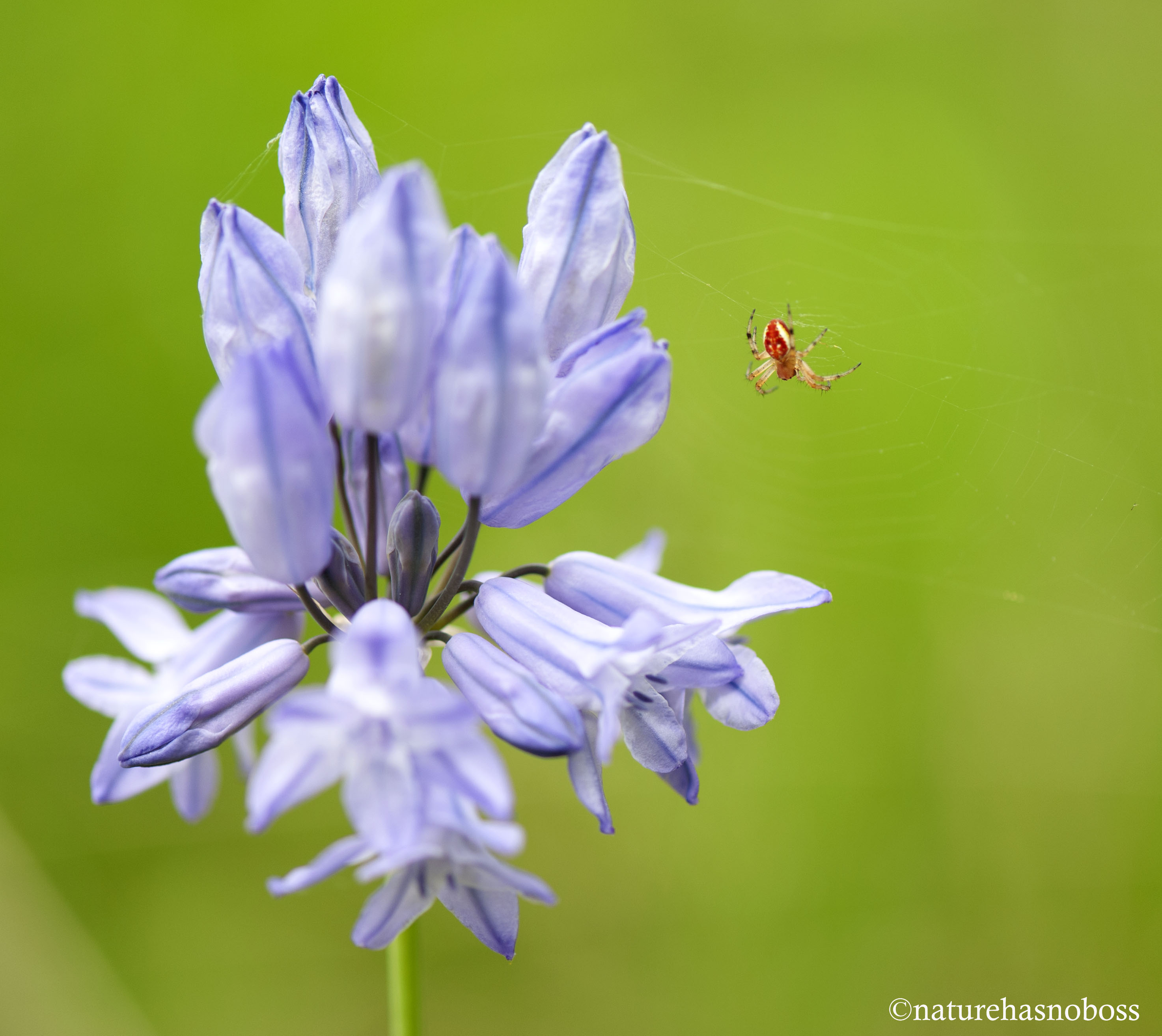 and_sat_down_beside_her_2