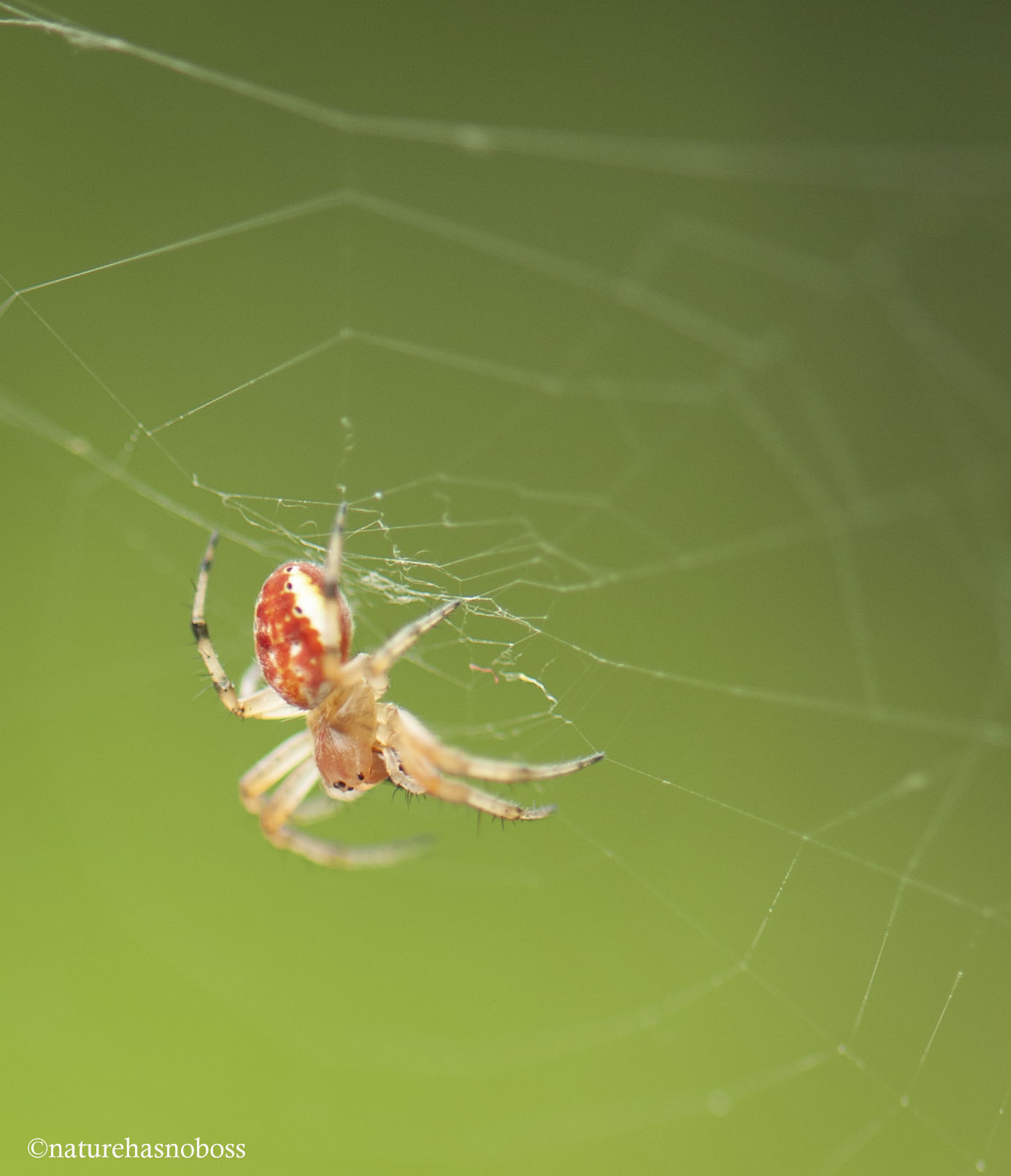 and_sat_down_beside_her_3