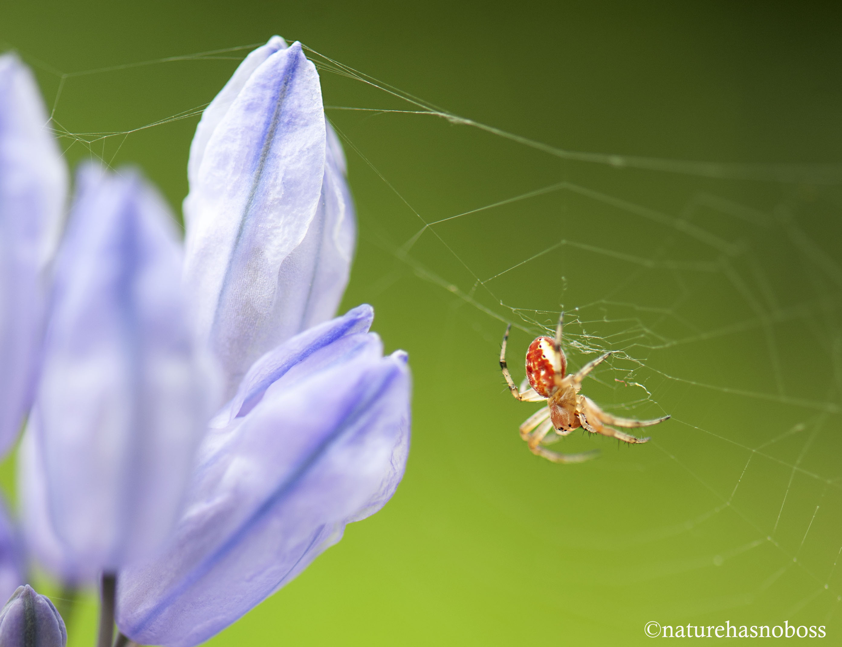 and_sat_down_beside_her_4