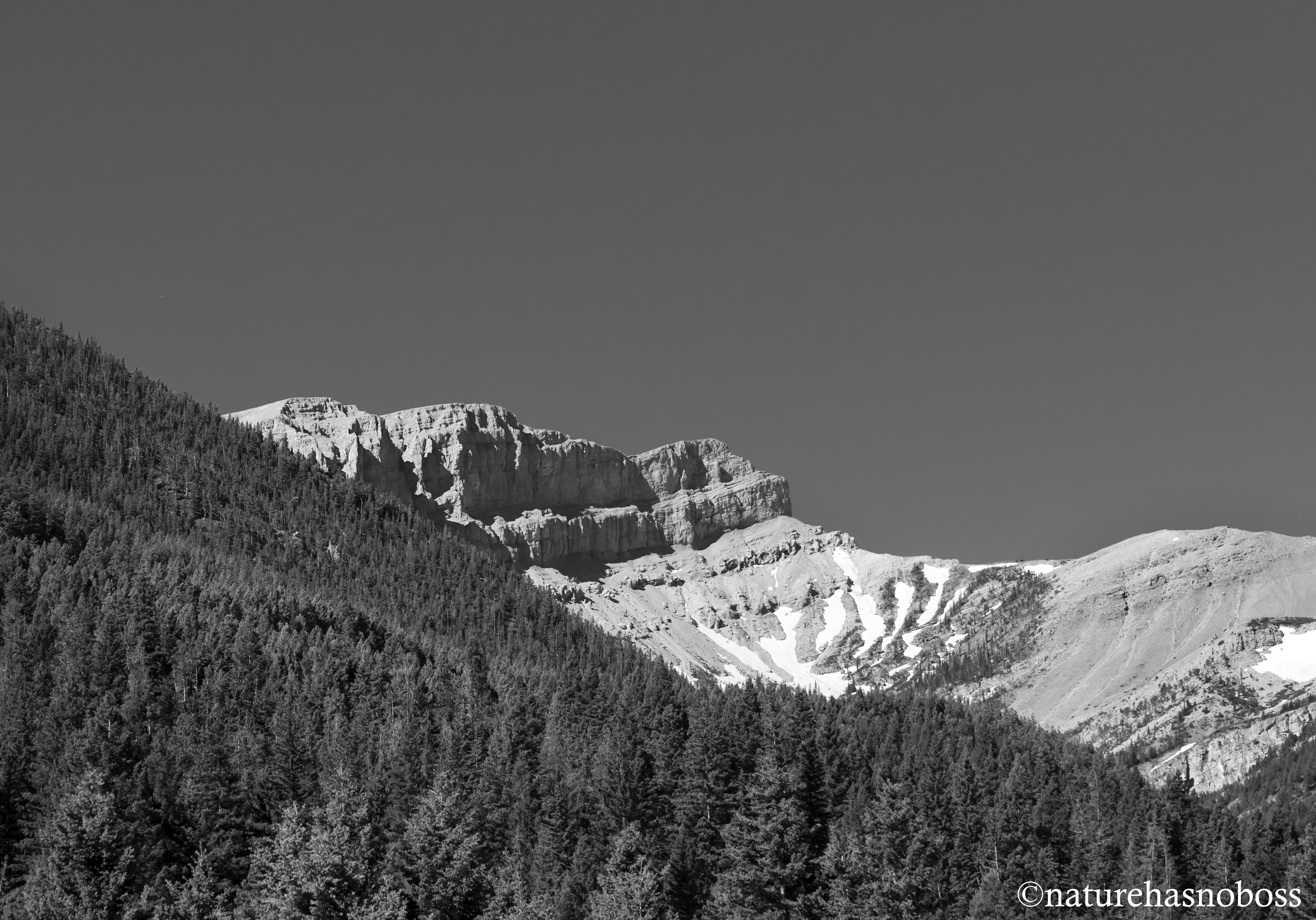 SUmmer_days_0912132_bw