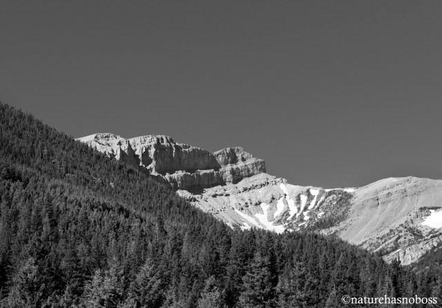 SUmmer_days_0912132_bw