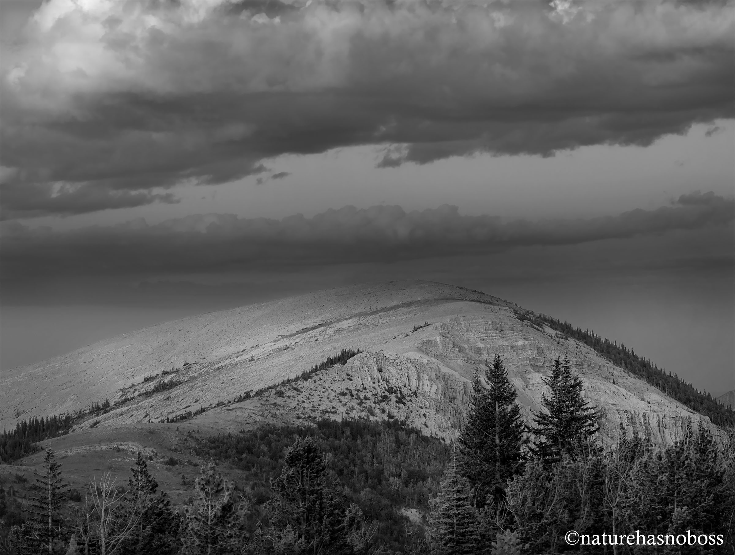 SUmmer_days_0912134_bw