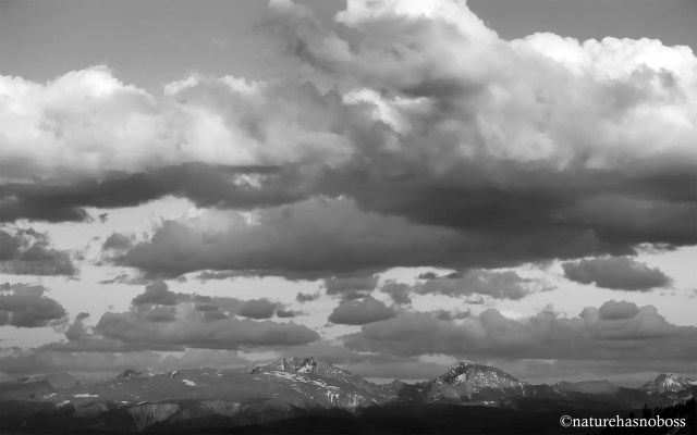 SUmmer_days_0918723_bw